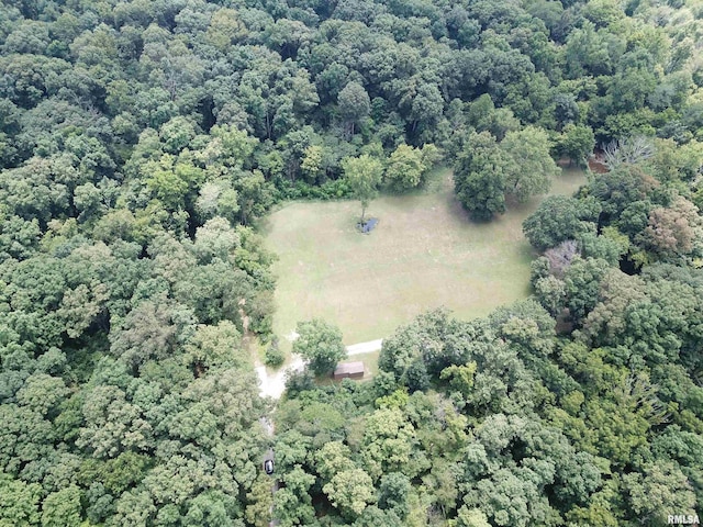 2799 Cypress Dr, Flora, IL 62839 - photo 43
