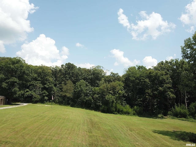 2799 Cypress Dr, Flora, IL 62839 - photo 48