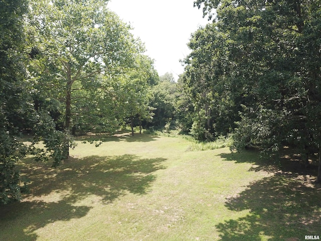 2799 Cypress Dr, Flora, IL 62839 - photo 49