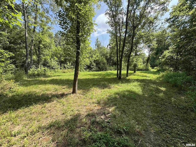 2799 Cypress Dr, Flora, IL 62839 - photo 71