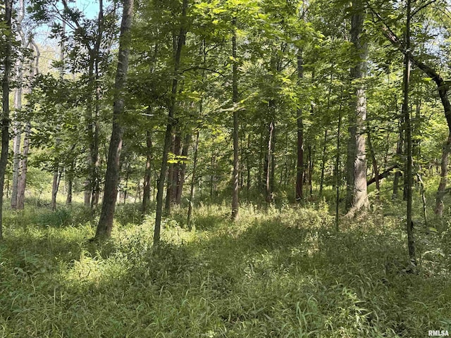 2799 Cypress Dr, Flora, IL 62839 - photo 82
