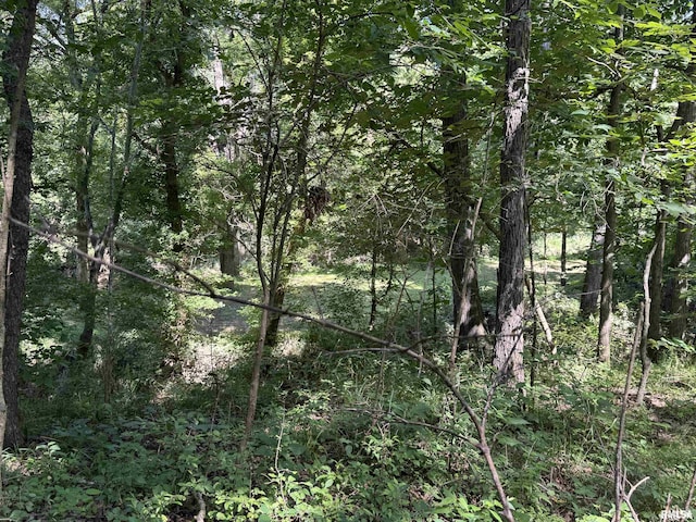2799 Cypress Dr, Flora, IL 62839 - photo 87