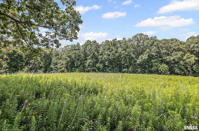 22677 Post Oak Rd, Walnut Hill, IL 62893 - photo 13
