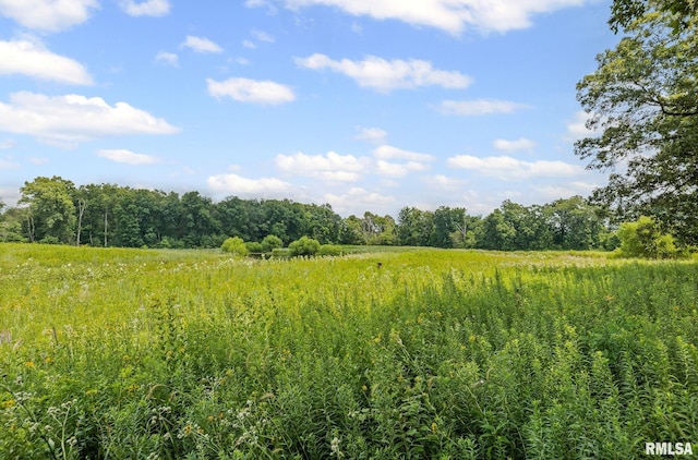 22677 Post Oak Rd, Walnut Hill, IL 62893 - photo 14