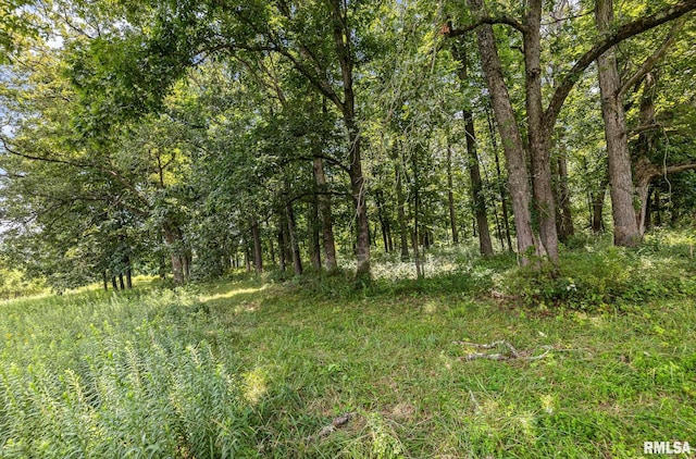 22677 Post Oak Rd, Walnut Hill, IL 62893 - photo 16