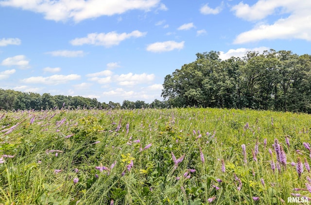 22677 Post Oak Rd, Walnut Hill, IL 62893 - photo 17