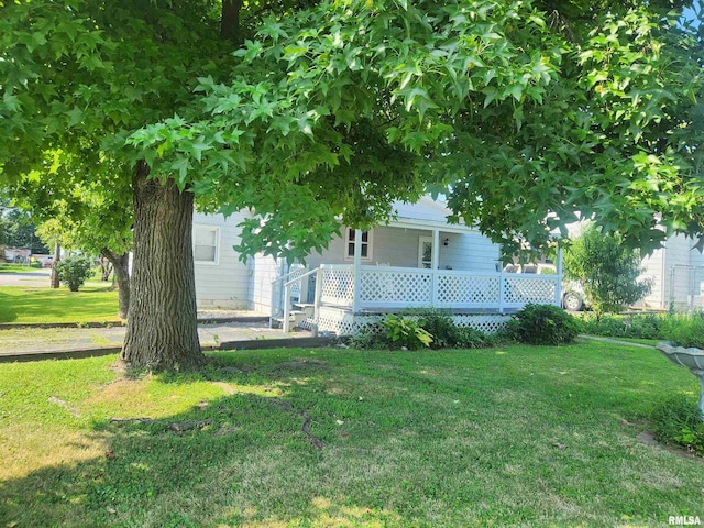 701 Taffee St, Pinckneyville, IL 62274 - photo 4