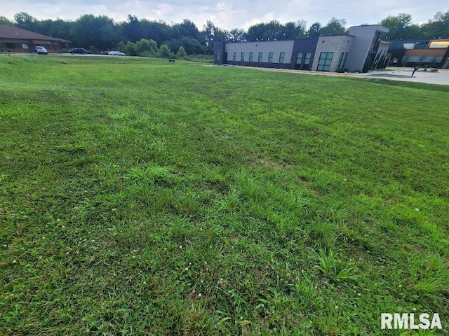 3128 Veterans Memorial Dr, Mount Vernon, IL 62864 - photo 8