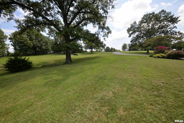 15821 N Tolle Ln, Mount Vernon, IL 62864 - photo 5