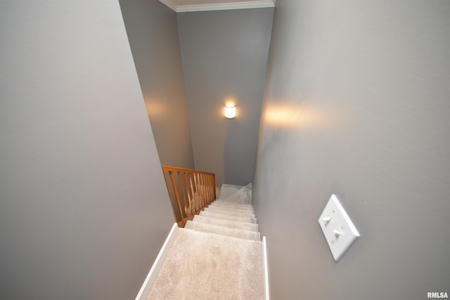 15821 N Tolle Ln, Mount Vernon, IL 62864 - photo 42