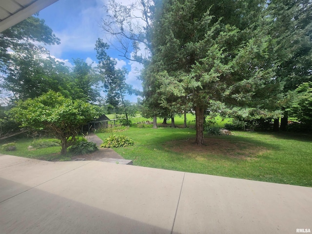 7655 Hardscrabble Rd, Duquoin, IL 62832 - photo 11