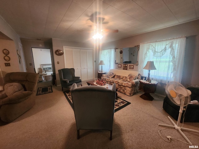 7655 Hardscrabble Rd, Duquoin, IL 62832 - photo 17