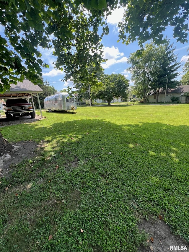 811 N Taft St, West Frankfort, IL 62896 - photo 5