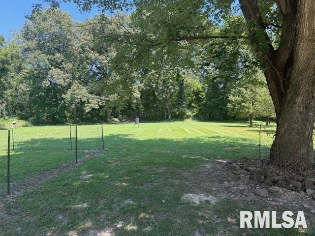 503 E Alexander St, Energy, IL 62933 - photo 23