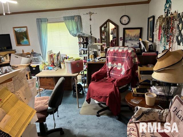 15170 E Gibson Rd, Mount Vernon, IL 62864 - photo 15