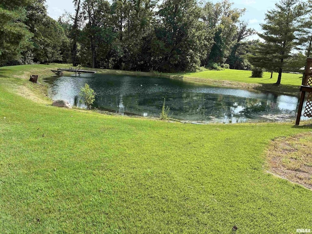 15170 E Gibson Rd, Mount Vernon, IL 62864 - photo 29