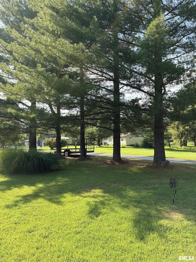 15170 E Gibson Rd, Mount Vernon, IL 62864 - photo 39
