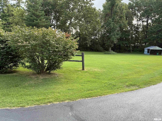 15170 E Gibson Rd, Mount Vernon, IL 62864 - photo 41