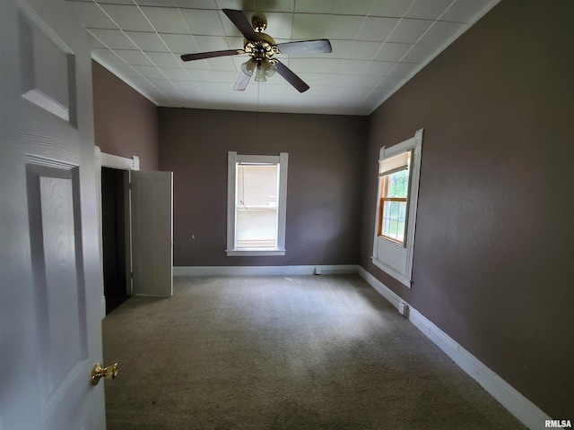 302 W Pecan St, Carbondale, IL 62901 - photo 11