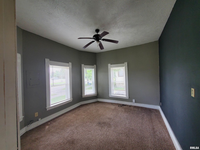 302 W Pecan St, Carbondale, IL 62901 - photo 9