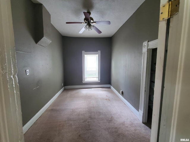 302 W Pecan St, Carbondale, IL 62901 - photo 10