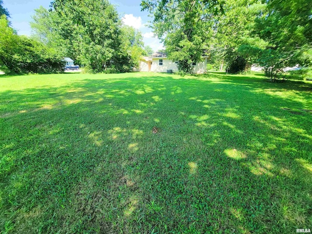 325 Campbell Ave, Flora, IL 62839 - photo 5