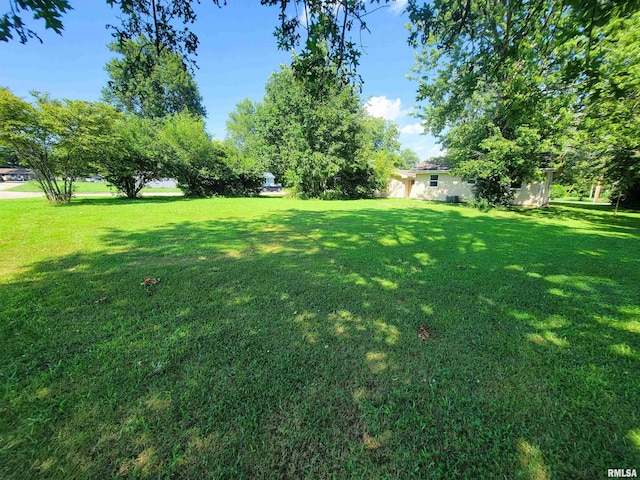 325 Campbell Ave, Flora, IL 62839 - photo 49
