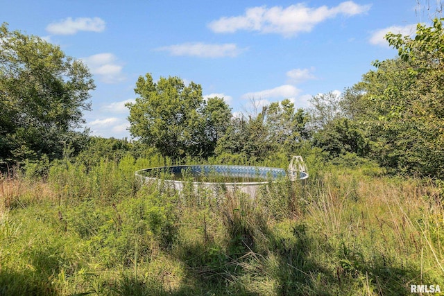 22340 N US Highway 51 N, Centralia, IL 62801 - photo 3