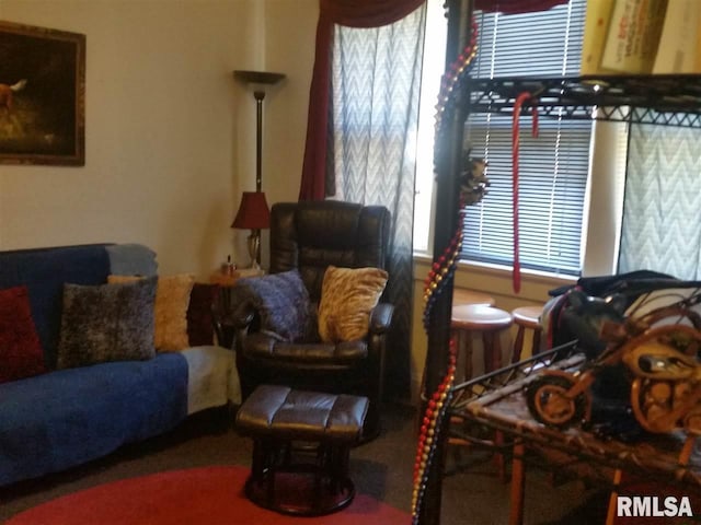 living room featuring a wealth of natural light