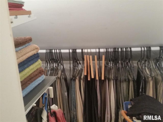 view of spacious closet