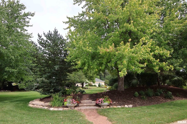 exterior space featuring a lawn