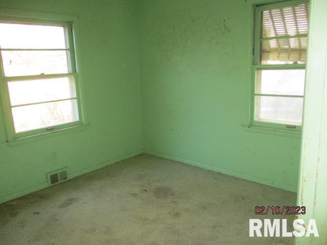 spare room with light carpet, plenty of natural light, and visible vents