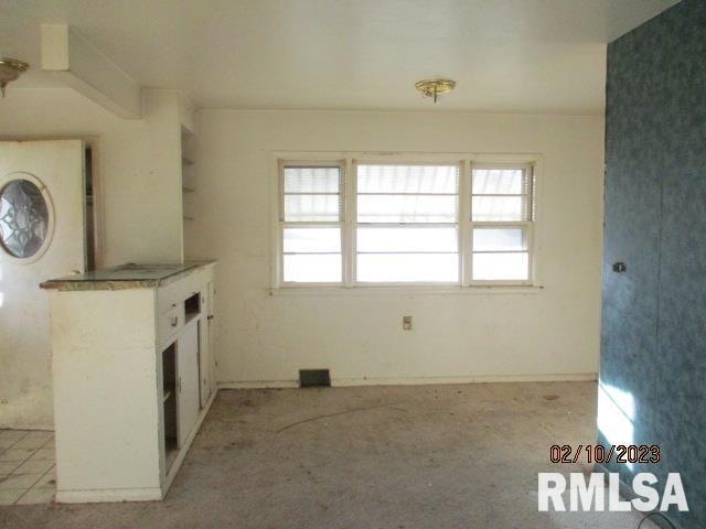 unfurnished living room with light colored carpet