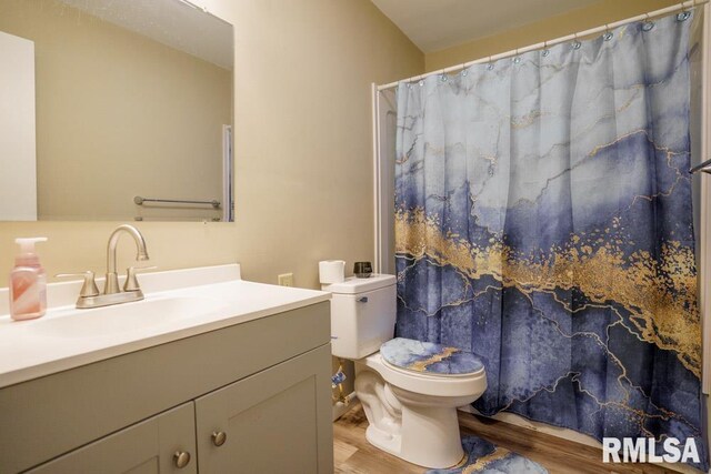 bathroom with hardwood / wood-style flooring, toilet, and vanity