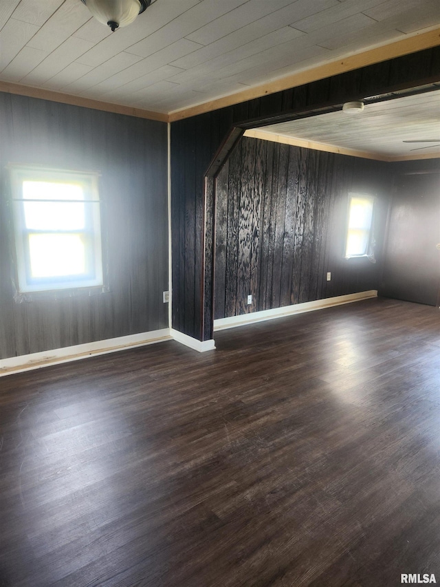 unfurnished room with wooden walls, wooden ceiling, dark hardwood / wood-style floors, and a wealth of natural light