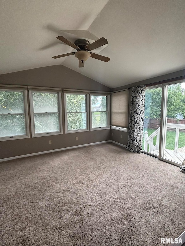 unfurnished room featuring ceiling fan, carpet flooring, and plenty of natural light