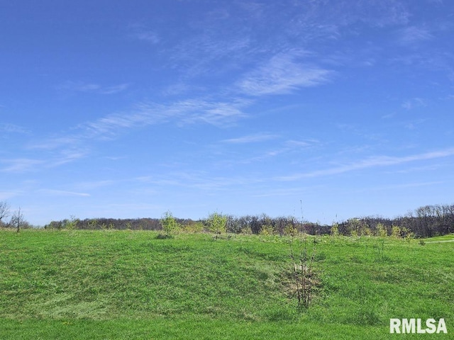 Listing photo 3 for 0-LOT7 Town Ave, Princeville IL 61559