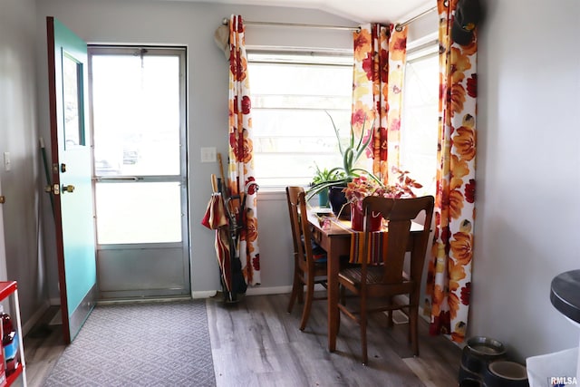 dining space featuring hardwood / wood-style floors