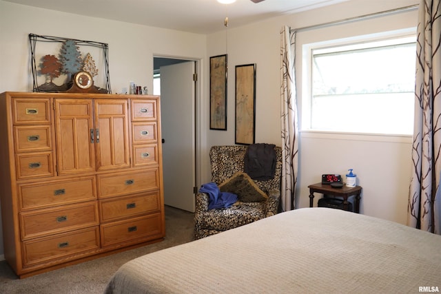 view of carpeted bedroom