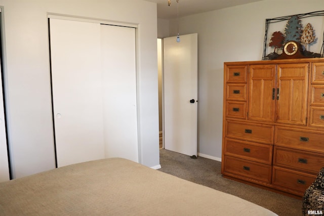 bedroom featuring carpet flooring and a closet