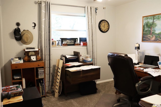 home office featuring carpet