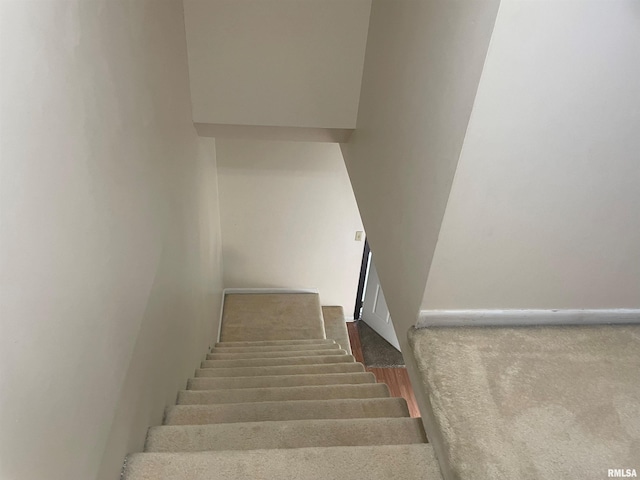 stairs with carpet flooring