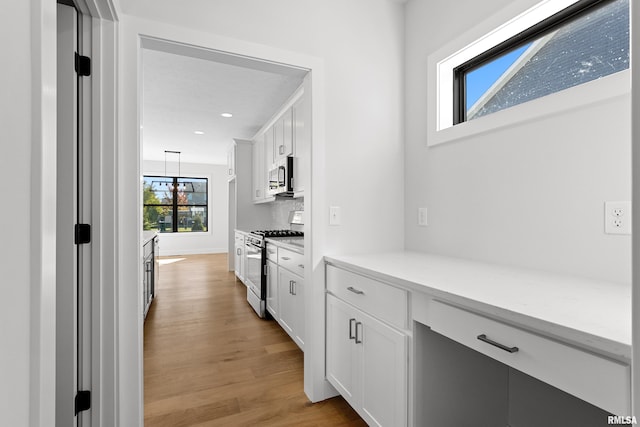 interior space featuring light hardwood / wood-style floors