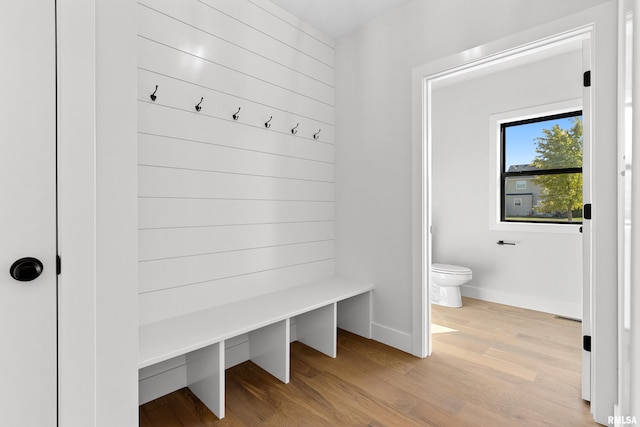 mudroom featuring light hardwood / wood-style flooring