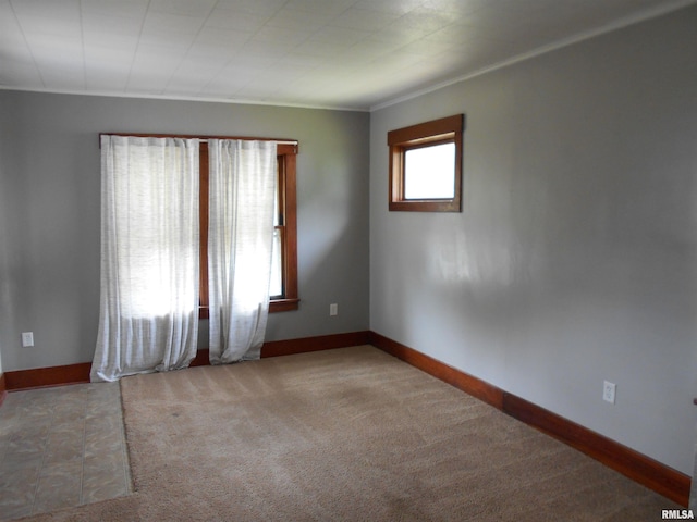 empty room with ornamental molding and light carpet