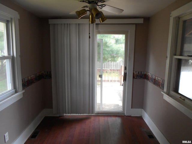 entryway featuring dark hardwood / wood-style floors and plenty of natural light