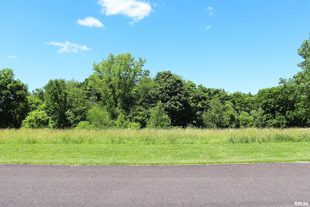 LOT34 S Hollis Rd, Peoria, IL 61607 - photo 1