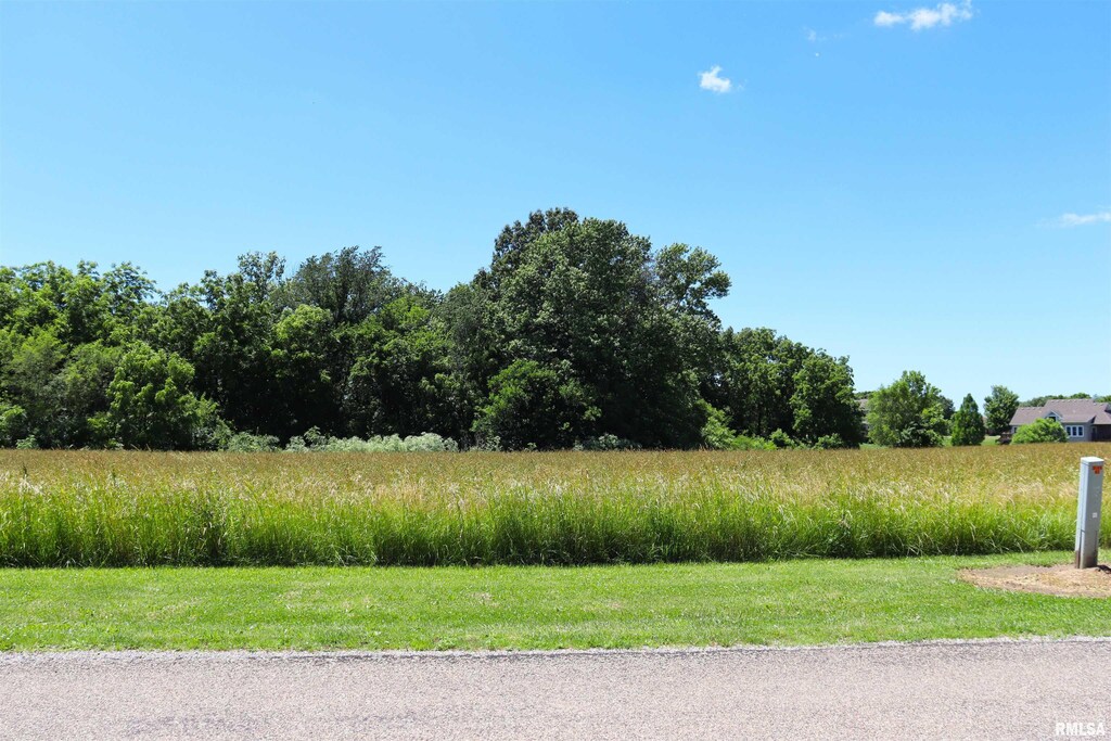 LOT34 S Hollis Rd, Peoria, IL 61607 - photo 2