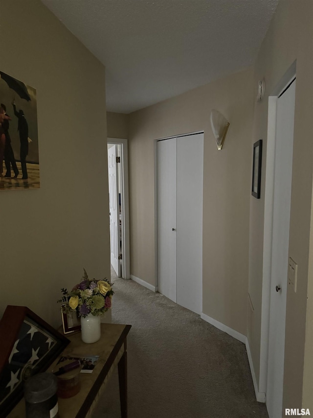 hallway with carpet flooring