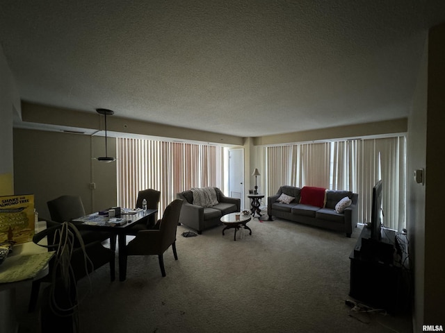 living room with carpet and a textured ceiling